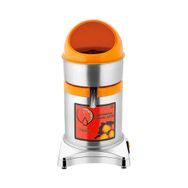 Remta PS10 140 W Katı Meyve Sıkacağı Gri