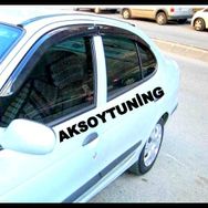 Renault Megane 1 Mügen Cam Rüzgarlığı