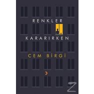 Renkler Kararırken - Cem Birgi