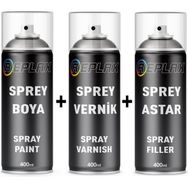 Replax Ford Fiesta Gri 6C Vernik ve Astar ve Sprey Rötuş Boyası