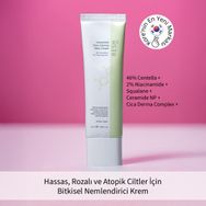 Resh Lab 50 ml Unscented Cica Calming Daily Cream Bitkisel Nemlendirici Krem