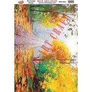 Rich 9384 33x48 cm Dekupaj Kağıdı
