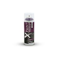 Rich Spray X-Paint 400 ml Böğürtlen Akrilik Sprey Boya