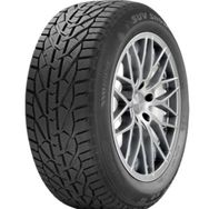 Riken 185/60 R15 88T XL Snow Kış Lastiği