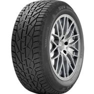 Riken 185/65 R15 88T Snow Kış Lastiği Üretim Yılı: 2024