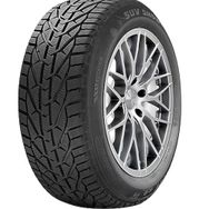 Riken 195/50 R15 82H Snow Kış Lastiği Üretim Yılı: 2024