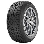 Riken 205/50 R17 93V XL Snow Kış Lastiği