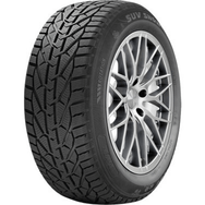 Riken 225/40 R18 92V XL Snow Kış Lastiği