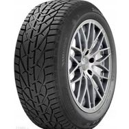 Riken 225/55 R16 95H Snow Kış Lastiği Üretim Yılı: 2023
