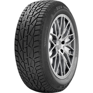 Riken 225/55 R17 101V XL Snow Kış Lastiği