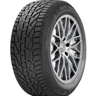 Riken 225/65 R17 106H XL SUV Snow Kış Lastiği 2022