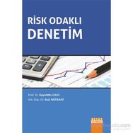 Risk Odaklı Denetim - Hayrettin Usul Rozi Mizrahi