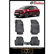 Rizline Citroen C3 2023 Model 3D Havuzlu Paspas