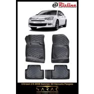 Rizline Citroen C5 2023 Model 3D Havuzlu Paspas