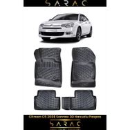 Rizline Citroen C5 2024 Model 3D Havuzlu Paspas