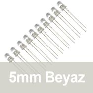 Robocombo 10 Adet 5 mm Şeffaf Beyaz Diyot Led