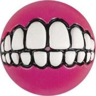 Rogz Toyz Grinz Ödül Hazneli Pembe 6.4 cm Medium Köpek Oyun Topu