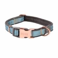Rogz Urban Halsband Turkuaz 1.6x20-31 cm Small Köpek Boyun Tasması