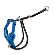 Rogz Utility Stop Pull Tuig Mavi 1.6x32-52 cm Durma Çekme Köpek Göğüs Tasması