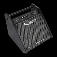 Roland PM-100 80 Watt Davul Monitörü
