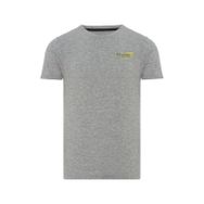 Routefield RFTRAM23 Tram Gri Erkek T-shirt