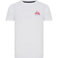 Routefield RFTREE23 Tree Pembe Erkek T-shirt