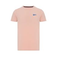 Routefield RFTYCE23 Tyce Pudra Erkek T-shirt