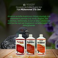 Royal Acidoral Pigeorex Pantonic 3'lü 1 lt Tamamlayıcı Yem Seti