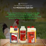 Royal Acidoral Spiro Clean Pantonic 3'lü 1 lt Tamamlayıcı Yem Seti
