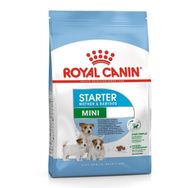 Royal Canin 1 kg Mini Starter Küçük Irk Anne ve Yavru Köpek Maması