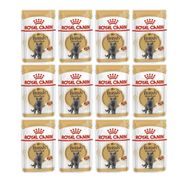Royal Canin 12x85 gr British Shorthair Kedi Maması