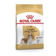Royal Canin 3 kg Kümes Hayvanlı King Charles Irkı Yetişkin Kuru Köpek Maması