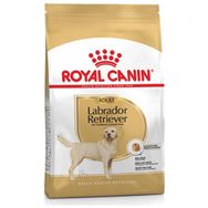 Royal Canin Adult Labrador Retriever 12 kg Köpek Maması
