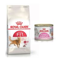 Royal Canin Adult Yetişkin Fit 32 2 kg Kedi Mama + Mother and Baby 195 gr Yaş Kedi Mama