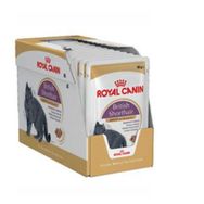 Royal Canin British Shorthair 12x85 gr Yetişkin Kedi Konserve