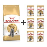 Royal Canin British Shorthair 4 kg Yetişkin Kedi Maması + 6 Adet Yaş Mama