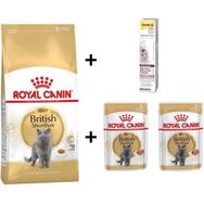 Royal Canin British Shorthair 4 kg Yetişkin Kedi Maması + Rc 2x85 gr Yaş Mama + Gimcat 20 gr Malt