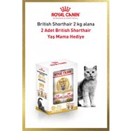 Royal Canin British Shorthair Adult 2 kg Kedi Kuru Maması + Yaş Mama Hediyeli Paket