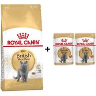 Royal Canin British Shorthair Yetişkin 4 kg Kedi Maması + 2 Adet Yaş Mama Hediye