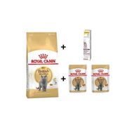 Royal Canin British Shorthair Yetişkin Kedi Maması 2 kg+2 Adet RC Yaş Mama 85 Gr + GimCat 20 gr Malt