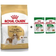 Royal Canin Cavalier King Charles 1.5 kg Yetişkin Köpek Maması + 2 Adet Hediye Yaş Mama