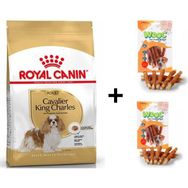 Royal Canin Cavalier King Charles 1.5 kg Yetişkin Köpek Maması + 2x80 gr Wooc Ödül