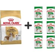 Royal Canin Cavalier King Charles 1.5 kg Yetişkin Köpek Maması + 6 Adet Yaş Mama