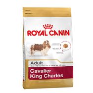Royal Canin Cavalier King Charles 3 kg Yetişkin Kuru Köpek Maması