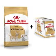 Royal Canin Chihuahua 1.5 kg Yetişkin Köpek Maması + 12 Adet Yaş Mama
