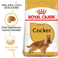 Royal Canin Cocker 3 kg Yetişkin Kuru Köpek Maması