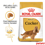 Royal Canin Cocker Özel Irk 3 kg Kümes Hayvanı Aromalı Tahıllı Yetişkin Kuru Köpek Maması