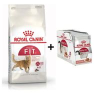 Royal Canin Fit 32 2 kg Kedi Maması +12 Adet Yaş Mama