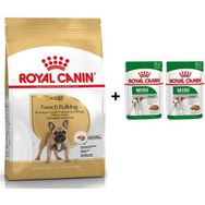 Royal Canin French Bulldog 3 kg Yetişkin Köpek Maması + 2 Adet Hediye Yaş Mama