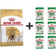 Royal Canin French Bulldog 3 kg Yetişkin Köpek Maması + 6 Adet Yaş Mama